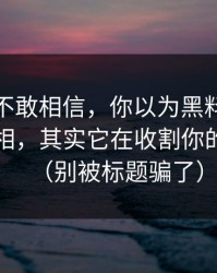 我一度不敢相信，你以为黑料网在线在揭真相，其实它在收割你的注意力（别被标题骗了）