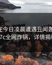 当事人在今日凌晨遭遇丑闻轰动一时，17c全网炸锅，详情揭秘
