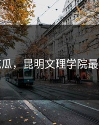 最新吃瓜，昆明文理学院最新吃瓜