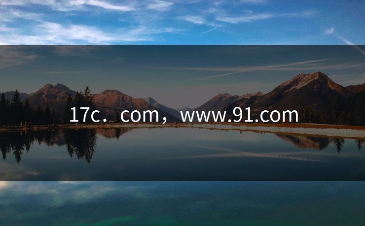 17c．com，www.91.com