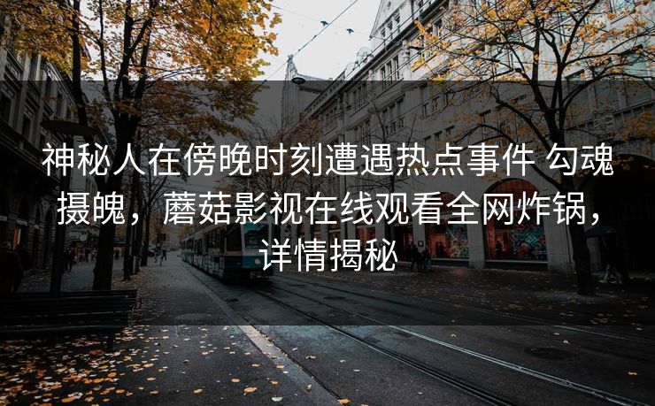 神秘人在傍晚时刻遭遇热点事件 勾魂摄魄,蘑菇影视在线观看全网炸锅,详情揭秘 神秘人在傍晚时刻遭遇热点事件 勾魂摄魄,蘑菇影视在线观看全网炸锅,详情揭秘